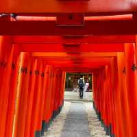 小網神社⛩️ 靜謐禪風