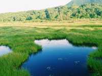 Shinsen-numa Marsh Parking Lot & Observation Deck