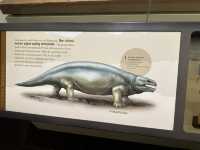 【🇺🇸芝加哥🇺🇸】Field Musuem：暴龍🦖 T Rex 體驗，難忘博物館之旅，適合帶小朋友來震撼教育一下‼️