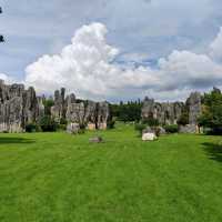 The gray and green forest -Kunming Stone Forest