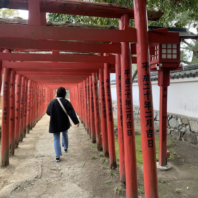 香川県にある写真映えな神社