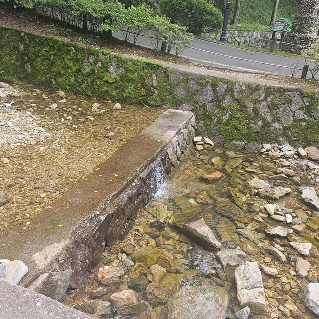 아이와 함께 떠나는 충북 계곡 여행
