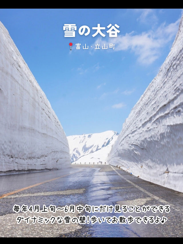 【富山】行ってよかった！富山県のおすすめ観光スポット7選
