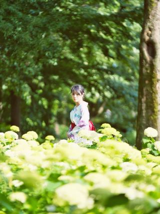 〜카나가와현〜 10000그루의 수국을 볼 수 있는 숨겨진 수국 명소!