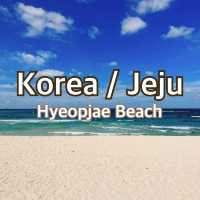 【韓国/済州】韓国のハワイと言われるチェジュ島のオススメビーチ⛱️