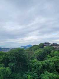 🏯마쓰야마 시내가 한눈에 보이는 마쓰야마 성🏯