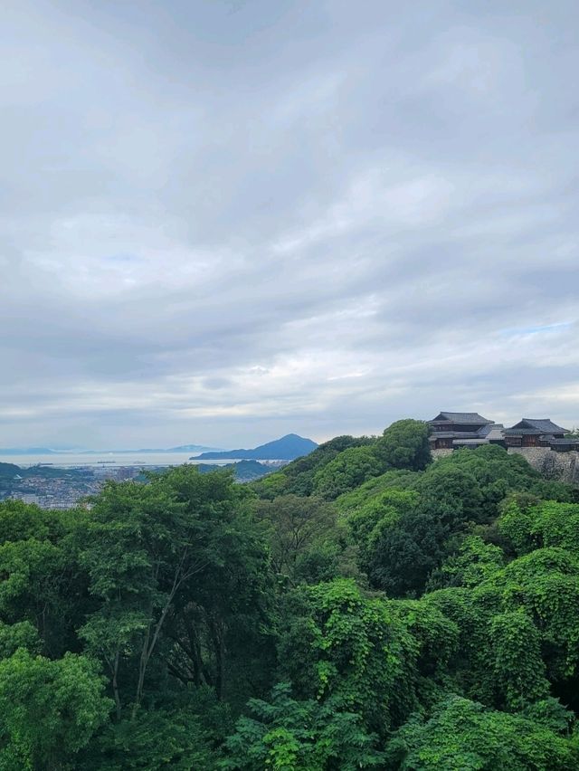 🏯마쓰야마 시내가 한눈에 보이는 마쓰야마 성🏯