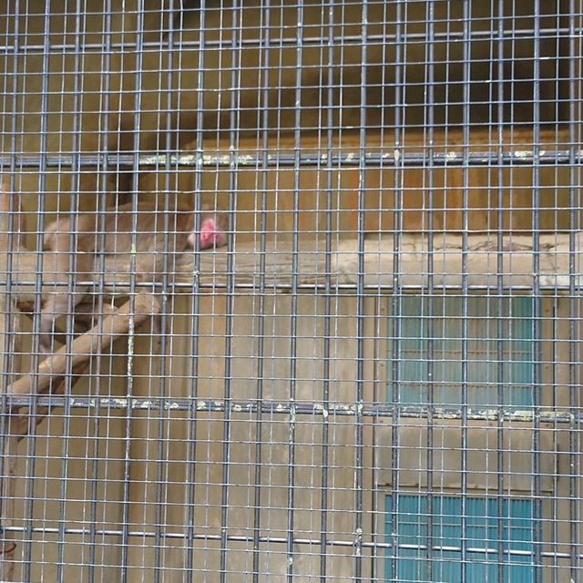 四季折々のイベント「大池公園」