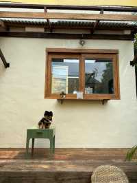🏡 บ้านป้า : BAAN PA 