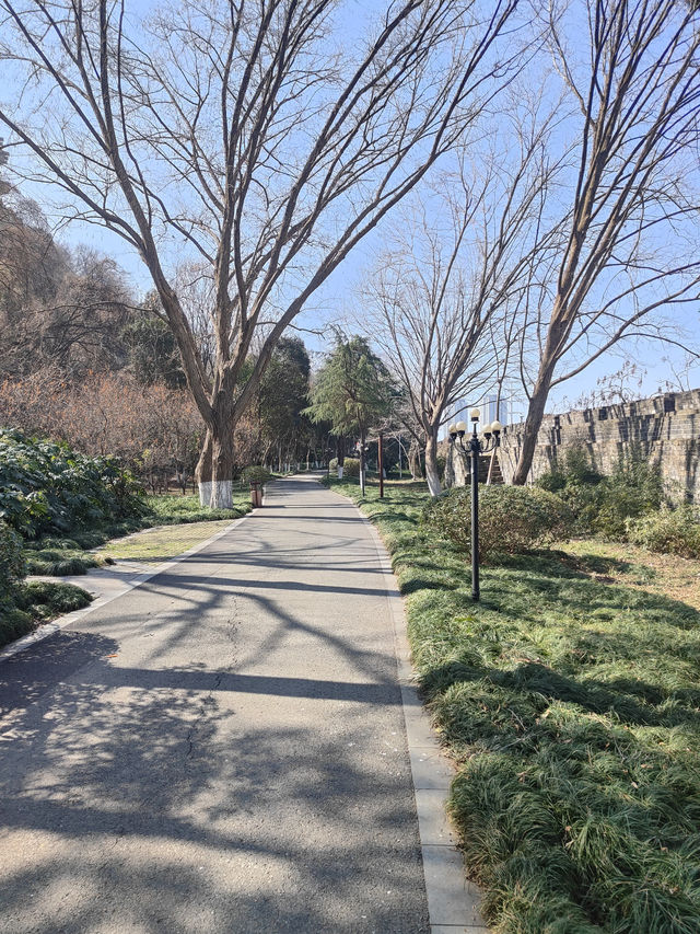 驚鴻閱江樓，登高遠望之