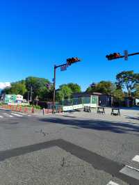 Matsumoto: A Charming City Surrounded by Nature