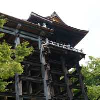 大國主神社⚜️祥和寶地