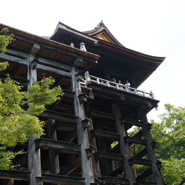 大國主神社⚜️祥和寶地