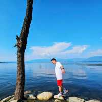 Dali: A Perfect Blend of History and Nature!