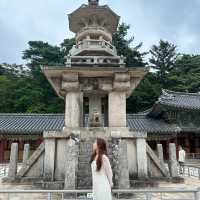 여름 햇살 속 불국사, 자연과 역사의 청량한 만남 즐기러 GO🏃‍♀️💨