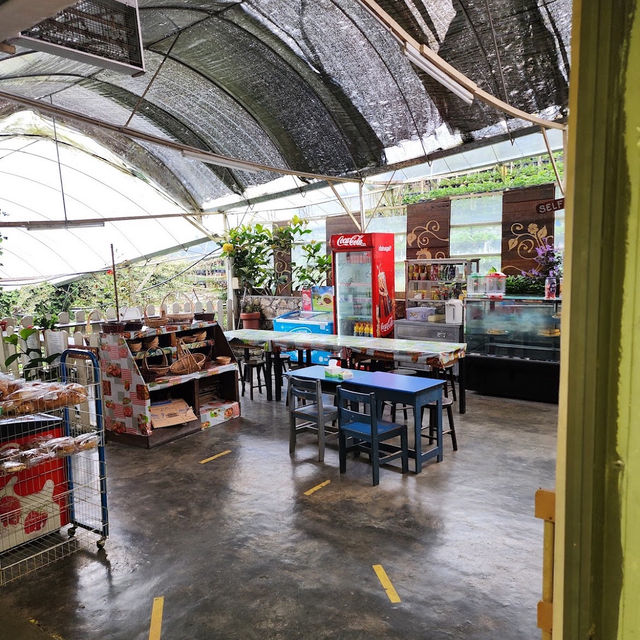 🇲🇾 Brinchang, Cameron Highlands : 2D1N Escape