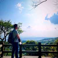 Cherry Blossom Flower Season at YangMingShan Taipei