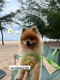 หาดแหลมเจริญ ระยอง