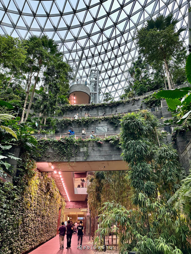 Singapore Changi Airport 