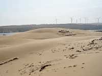 🇻🇳 무이네여행 필수코스 White Sand Dunes