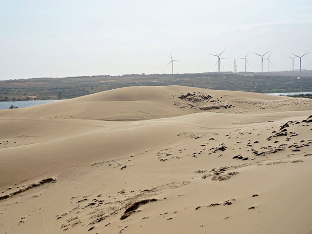🇻🇳 무이네여행 필수코스 White Sand Dunes