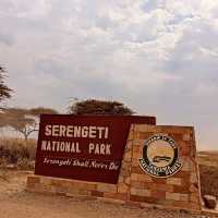 The Ultimate Safari in Serengeti National Park, Tanzania