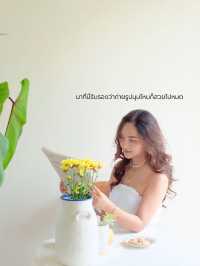 🪟🪞 Chinu Coffee   ' 🎀 คาเฟ่โฮมมี่ที่น่ารักทุกมุ