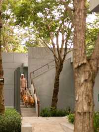 Peri Hotel Khao Yai
