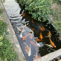 Bibury Resort | ที่พักไสตล์อังกฤษ