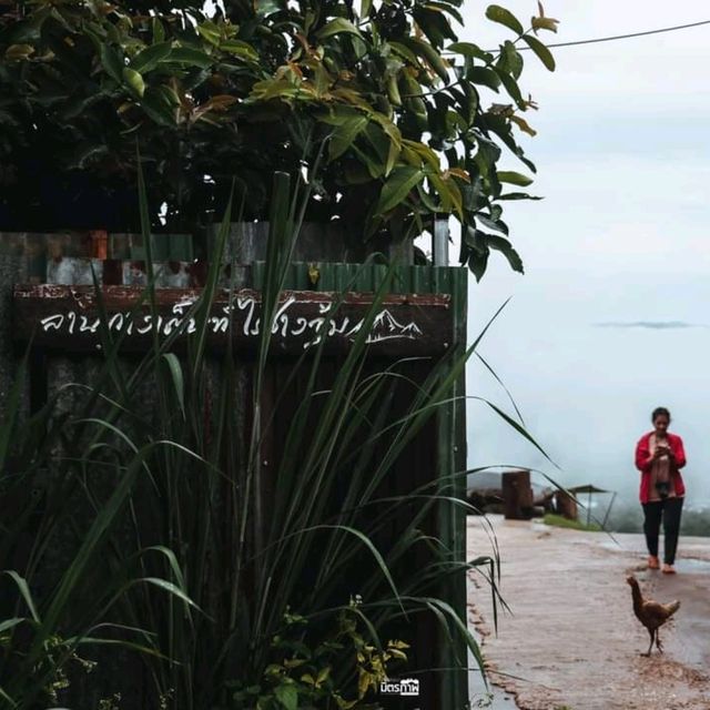ลานกางเต็นท์วิวเมืองด่านซ้าย ไร่ช่างอุ้ม จ.เลย