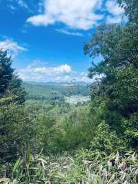 【滋賀/大津】叶匠寿庵が手がける菓子づくりの里山
