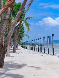 เช่ารถเที่ยวหาดบางแสน 🌊🩵✨🌴