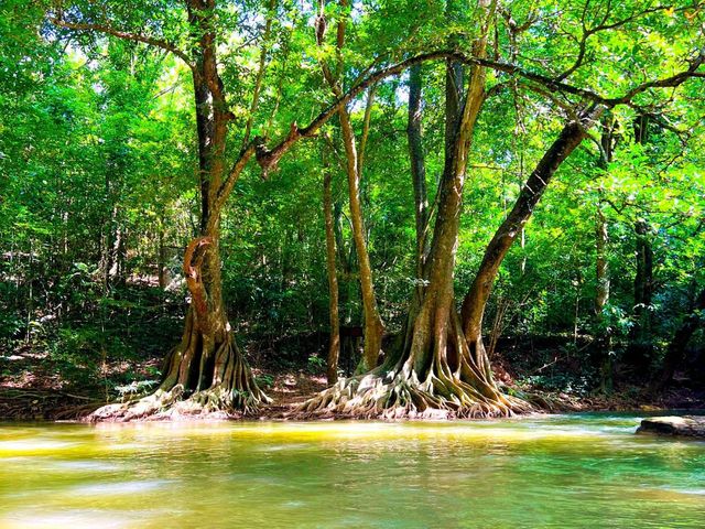 อุทยานแห่งชาติน้ำตกเจ็ดสาวน้อย
