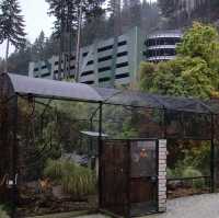 Wildlife Wonders: Kiwi Park NZ, Queenstown's Hidden Gem