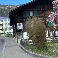 😊 Unterseen Switzerland