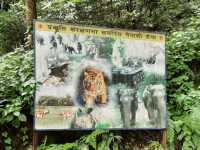 「尼泊爾加德滿都國家森林公園：綠意盎然的森林徒步勝地，門票價格五百盧比」