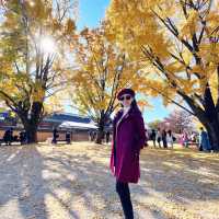 Colorful Autumn Of Gyeongbokgung Palace In Seoul 
