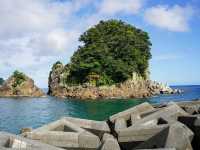 大濱海岸