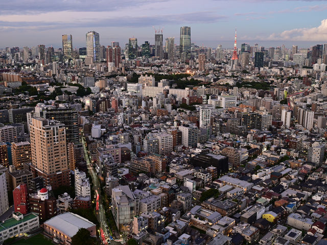 東京必去！超美免費入場的惠比壽花園廣場大樓38樓觀景台