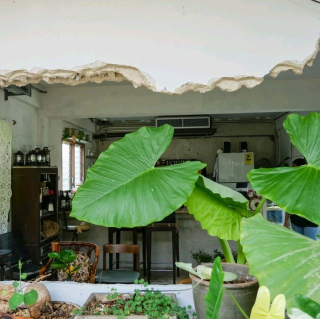  "Jungfood" โฮมคาเฟ่สุดที่น่ารักแบบป่ากลางเมือง
