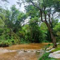 Campfire cafe & camping @khao yai