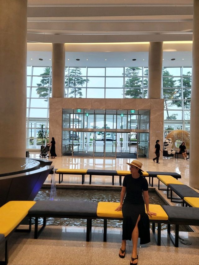 언제가도 좋은 강릉 호캉스 명소🩵