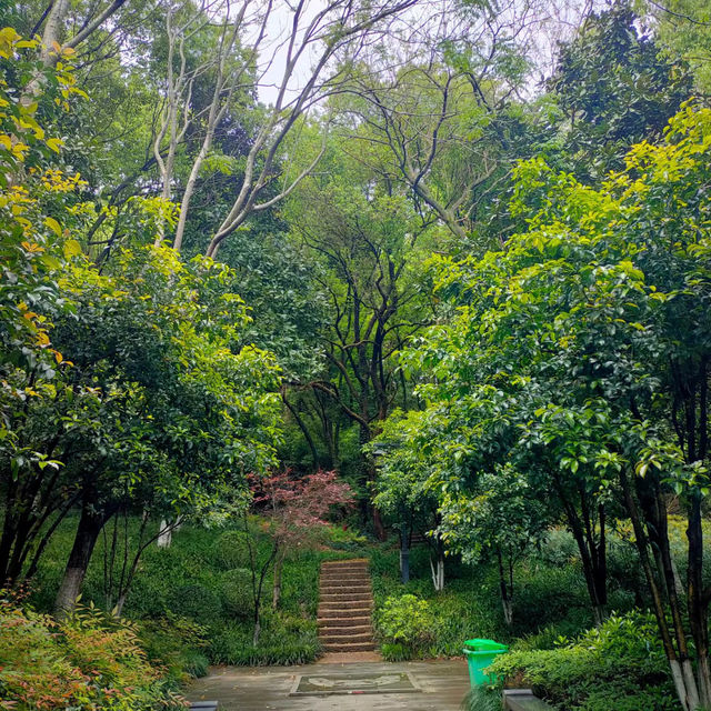 ～五桂山～難得的自然之美～