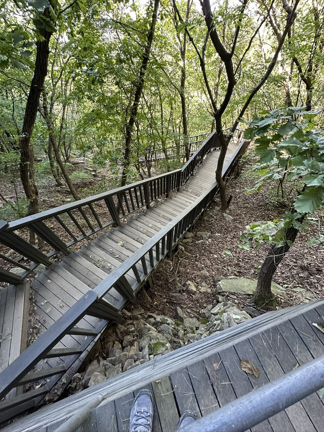 Get your cardio up at Gwanaksan mountain trail!