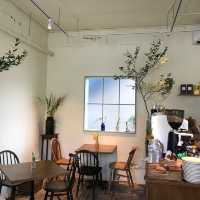 植物に癒されるヘリダンキルブランチカフェ