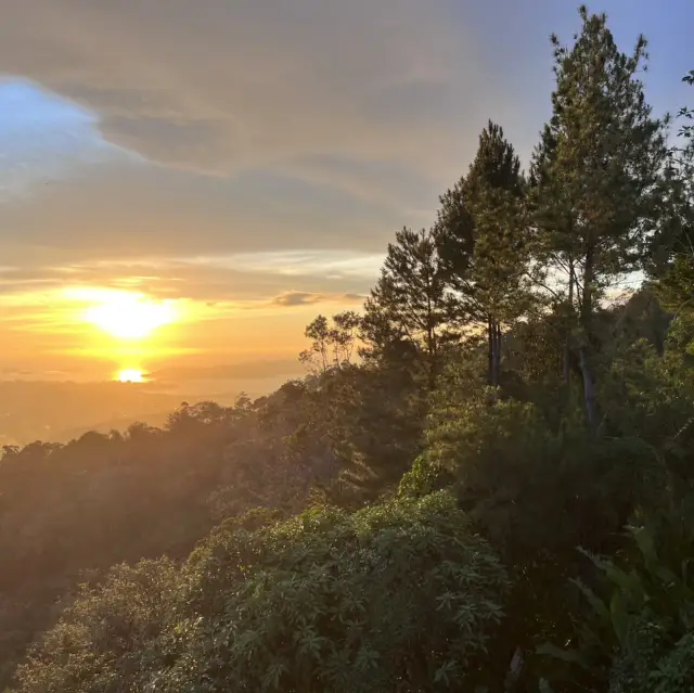 Sunset with cup of tea