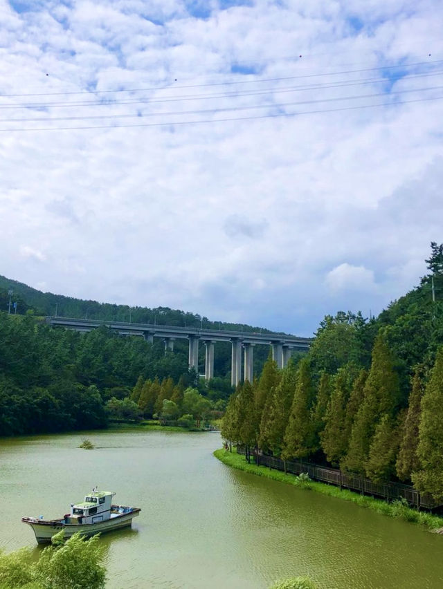 완연한 가을의 자연을 느껴볼 수 있는 🌳부산 야외데이트 명소💚