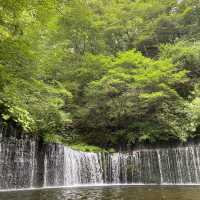 🇯🇵日帰り一人旅 in軽井沢🐰