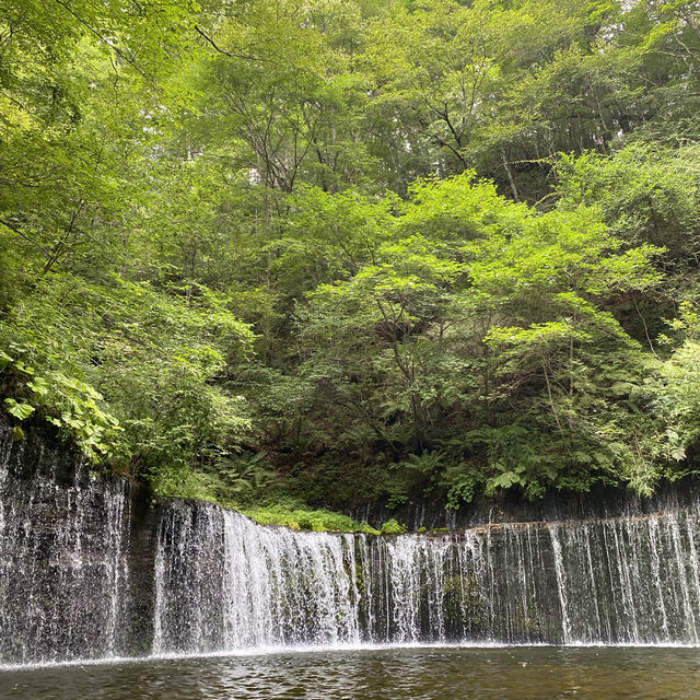 🇯🇵日帰り一人旅 in軽井沢🐰