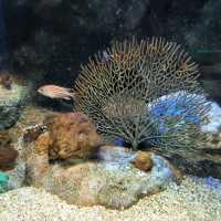 Underwater World Pattaya 